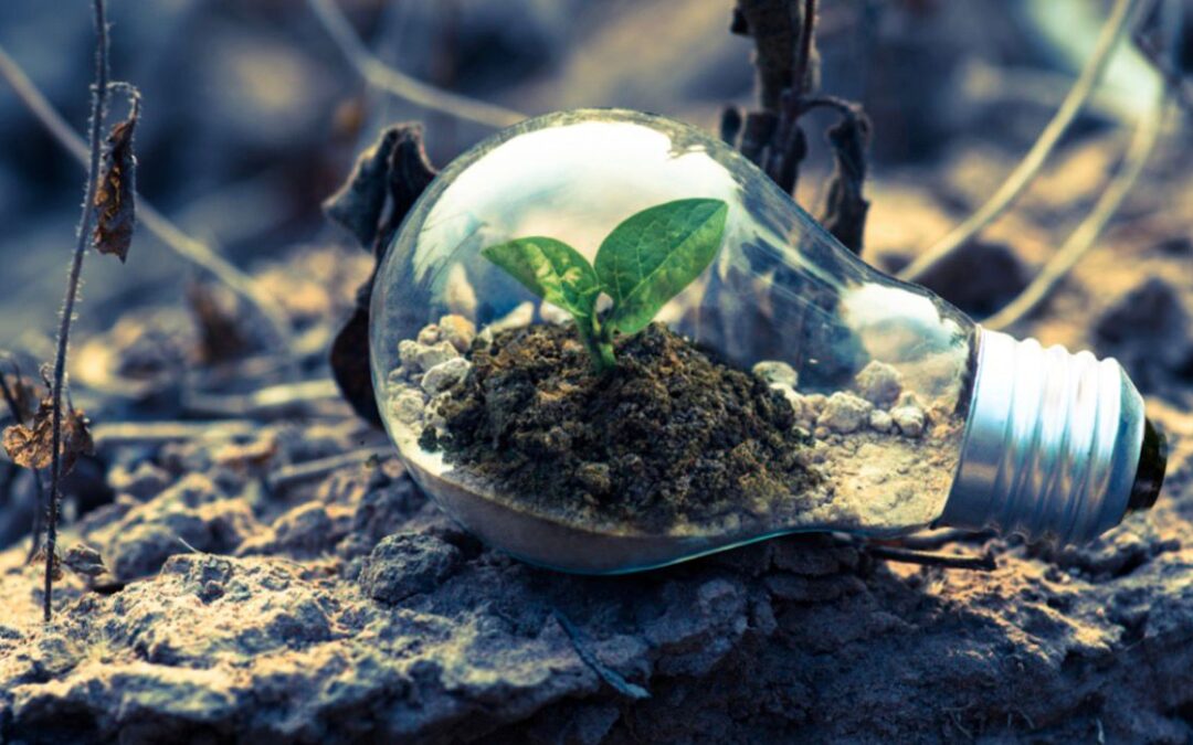 Adequação ambiental no Transporte Rodoviário de Cargas passa a ser prioridade para as empresas