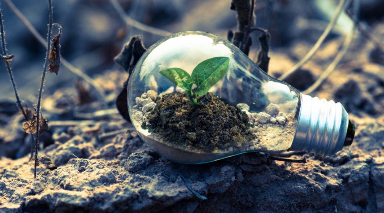 WhatsApp Image 2026-01-20 at 09.48.53 (1)