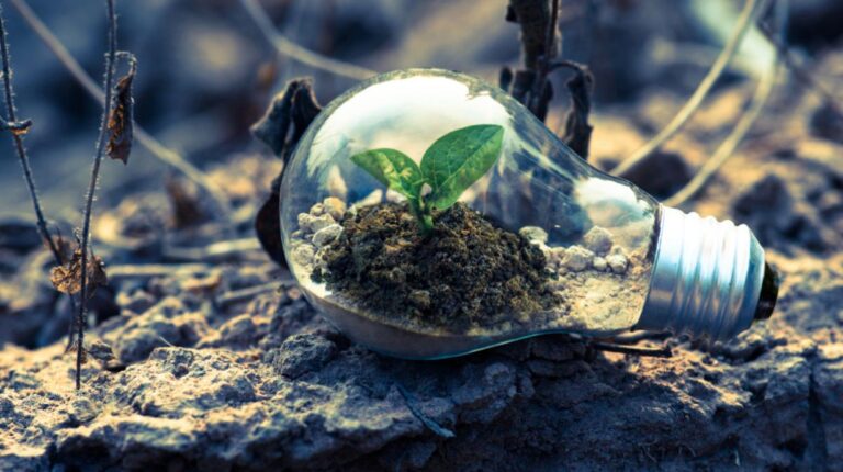 Adequação ambiental no Transporte Rodoviário de Cargas passa a ser prioridade para as empresas