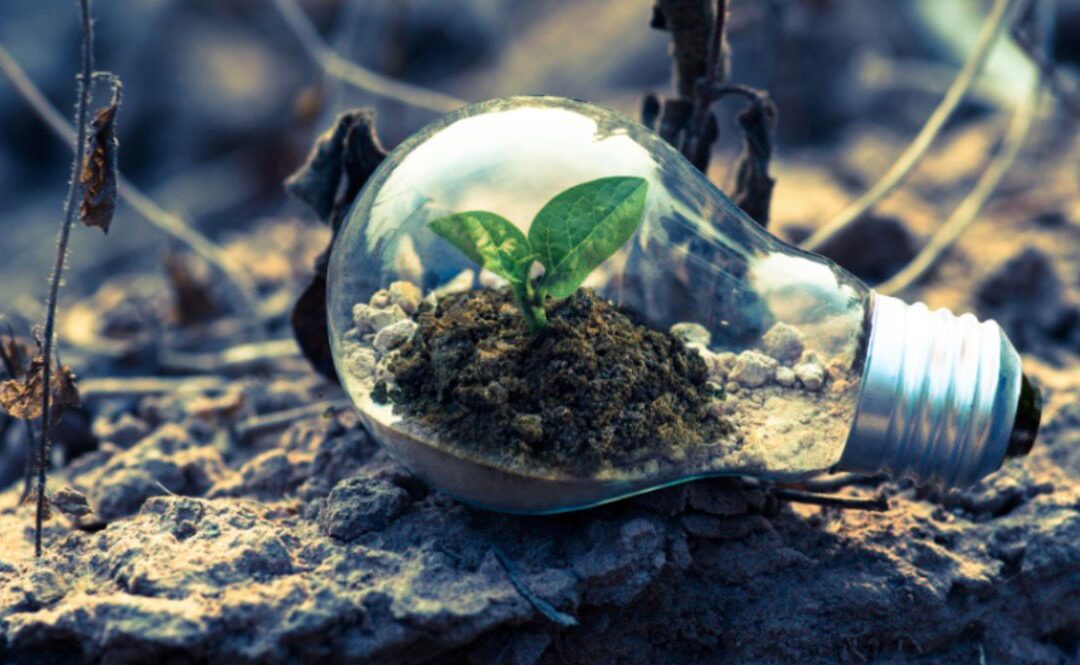 Adequação ambiental no Transporte Rodoviário de Cargas passa a ser prioridade para as empresas