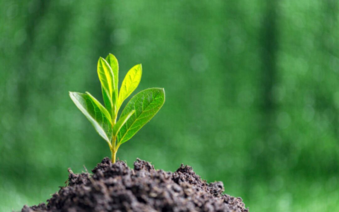 DNIT fortalece monitoramento de fauna como instrumento permanente de gestão ambiental