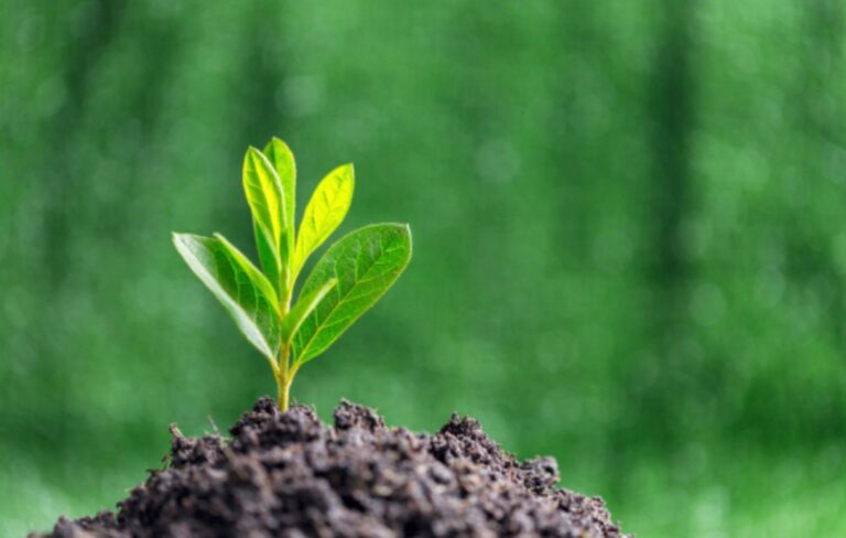 DNIT fortalece monitoramento de fauna como instrumento permanente de gestão ambiental