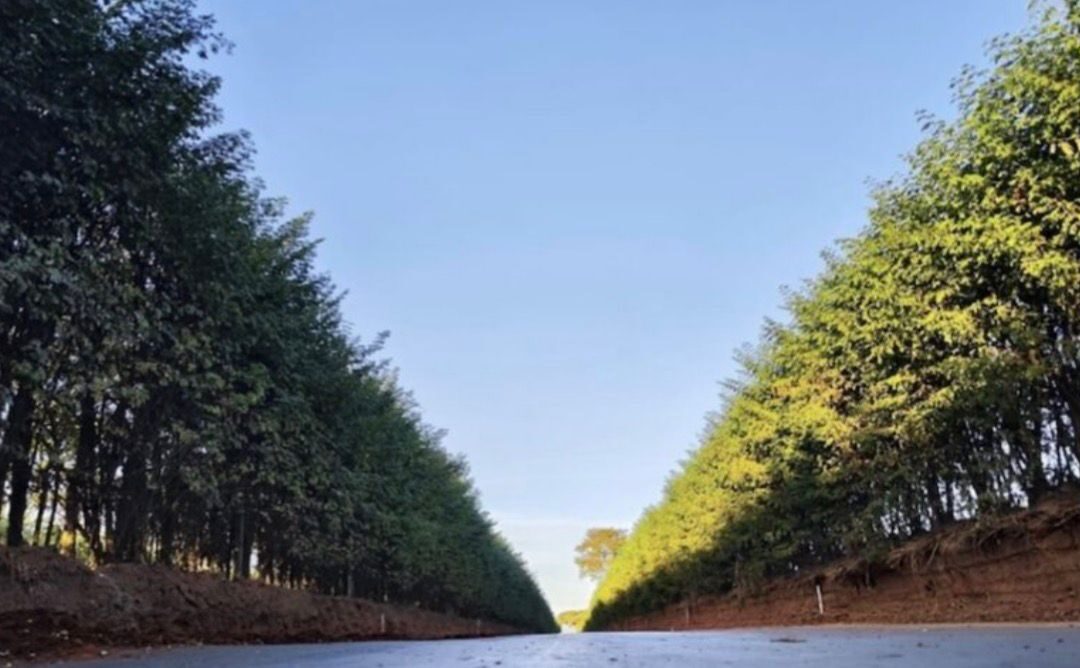 Investimento de R$ 41 milhões melhora estradas e logística em SP