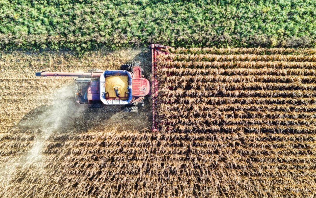Safra recorde pressiona logística de grãos e expõe gargalos de armazenagem e transporte no Brasil