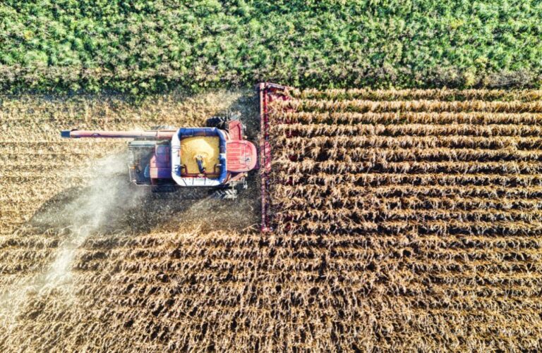 Safra recorde pressiona logística de grãos e expõe gargalos de armazenagem e transporte no Brasil