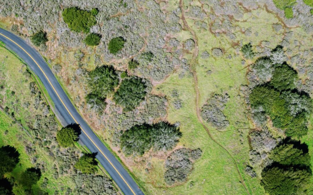 TCU quer mapa do caminho mais barato para transporte de carga no país