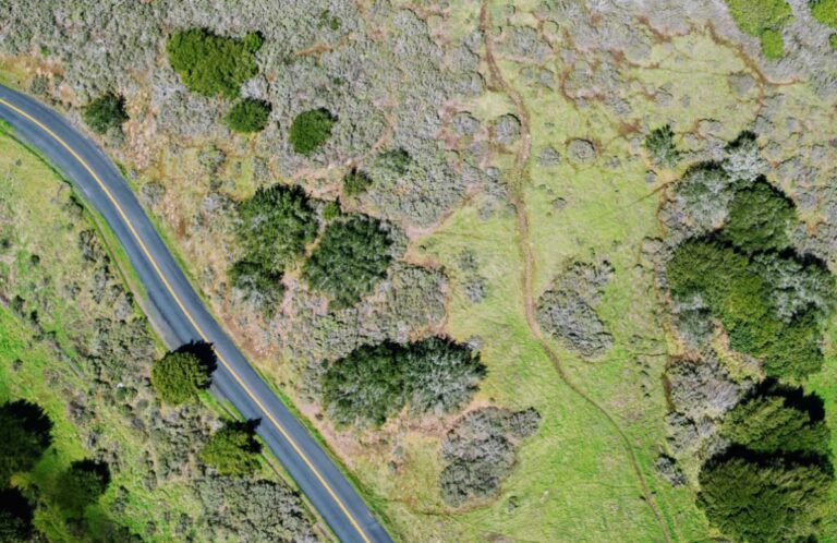 TCU quer mapa do caminho mais barato para transporte de carga no país