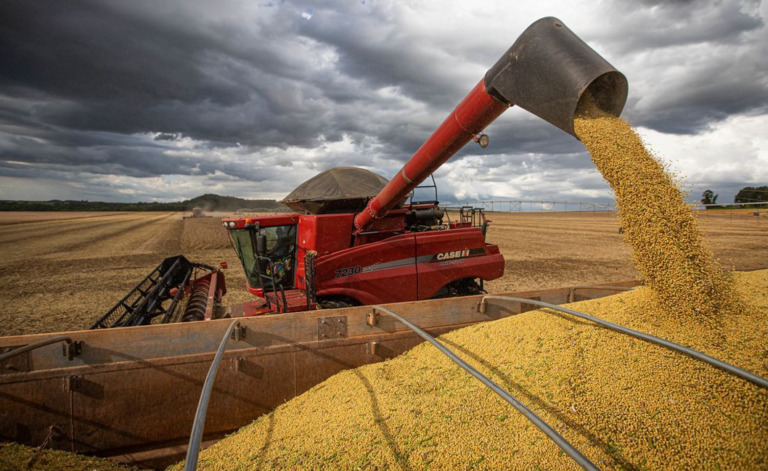 Conab estima safra recorde de 317,6 milhões de toneladas em 2023