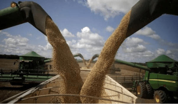 Só o agronegócio não sustenta a economia brasileira; entenda os motivos