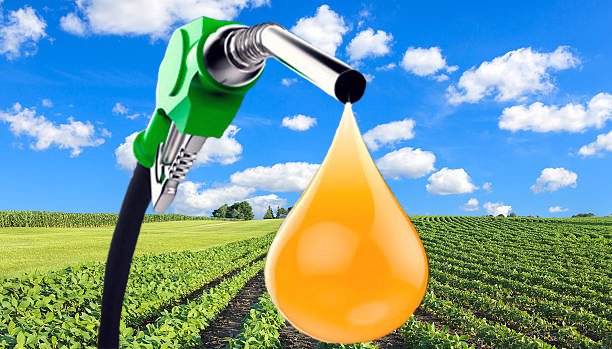 Distribuidores terão que informar percentual de biodiesel adicionado ao diesel